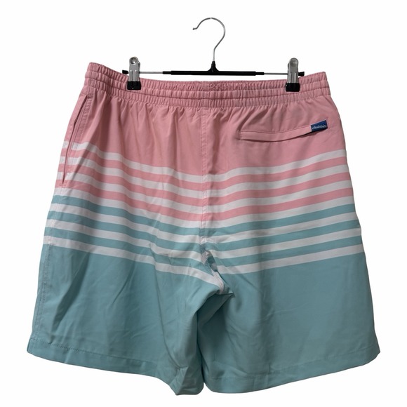 Chubbies Mens On The Horizons 7" Swimmer Shorts Size XL Stripe Lined Vacation - Picture 2 of 7